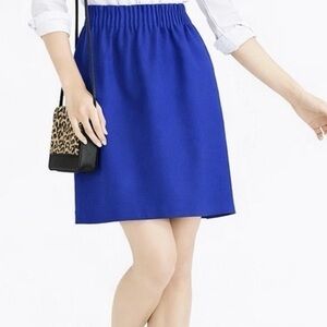 J. Crew Factory Blue Mini Skirt